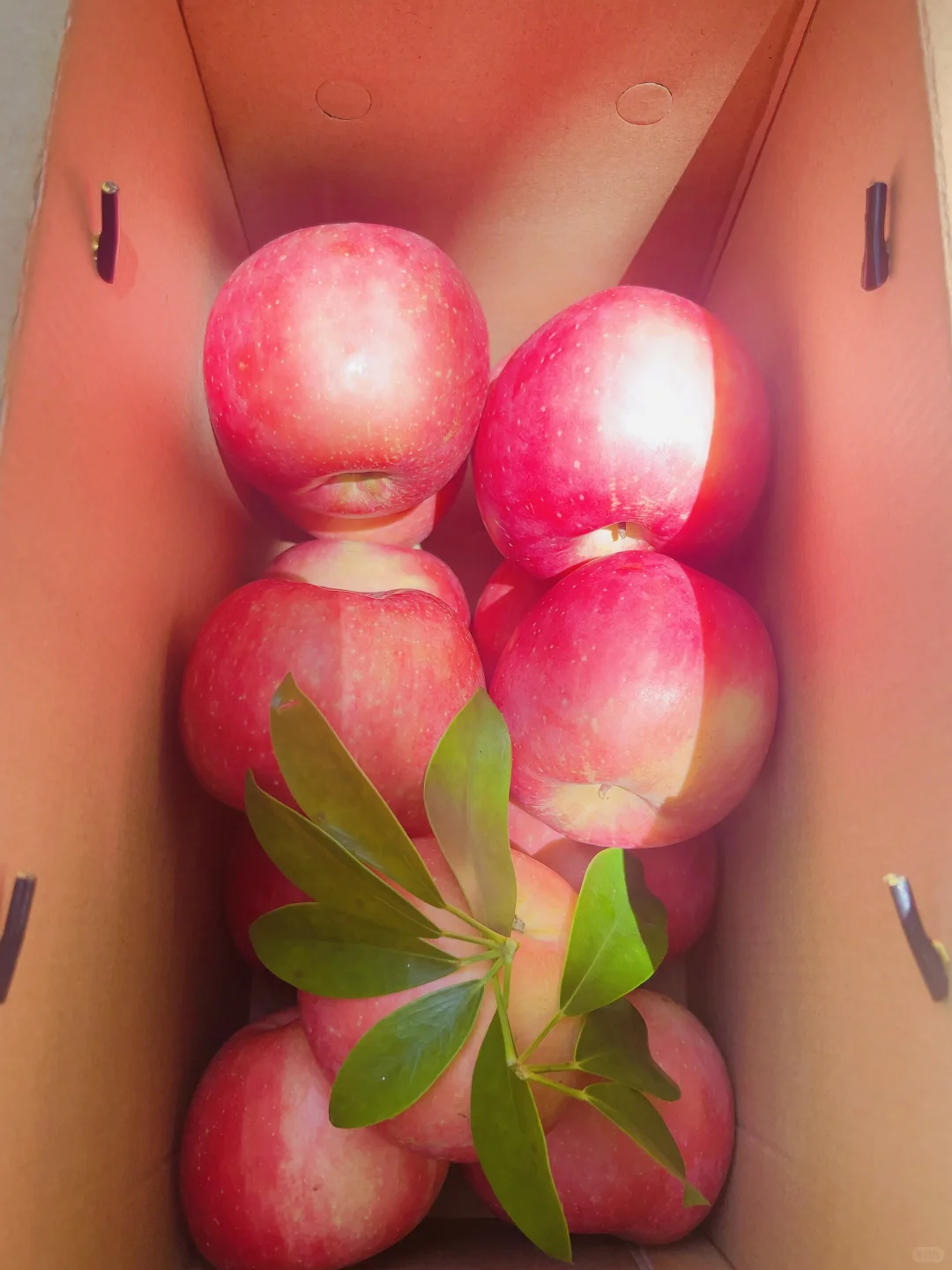 苹果可不是无聊的水果