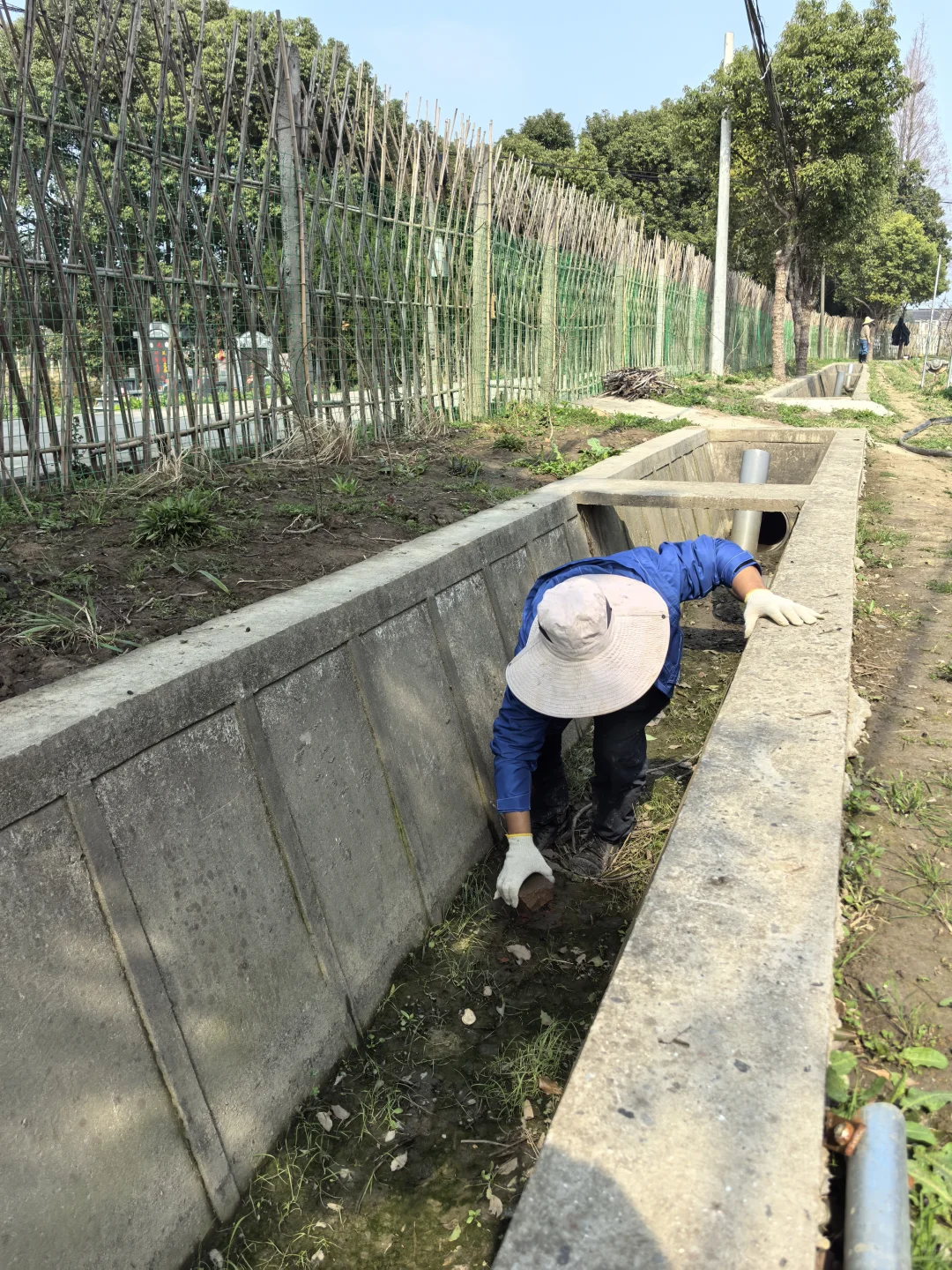 素然河道清洁日｜在池塘里捞到了鸭蛋?