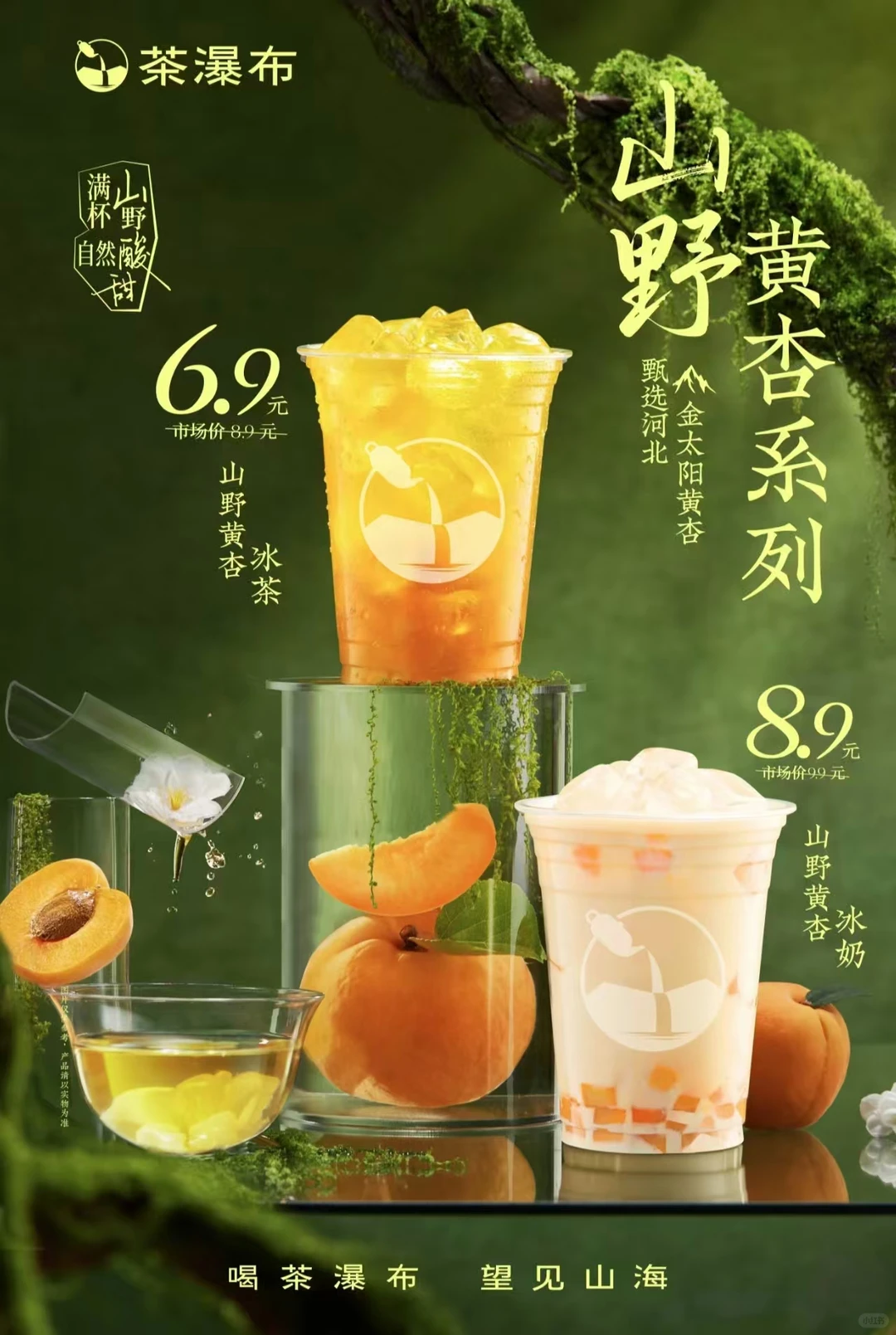 茶瀑布来牧院了！