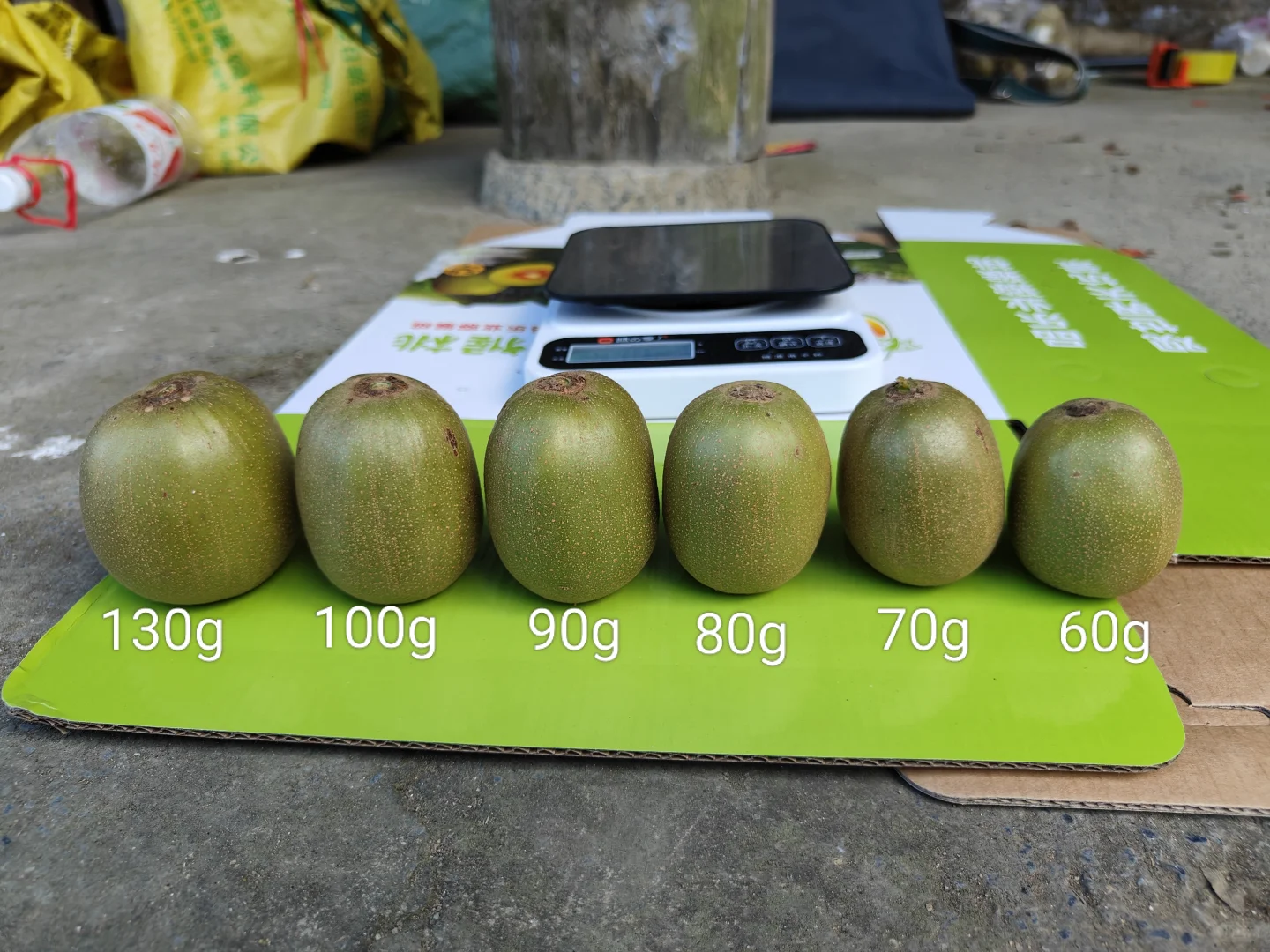 乐业红心猕猴桃