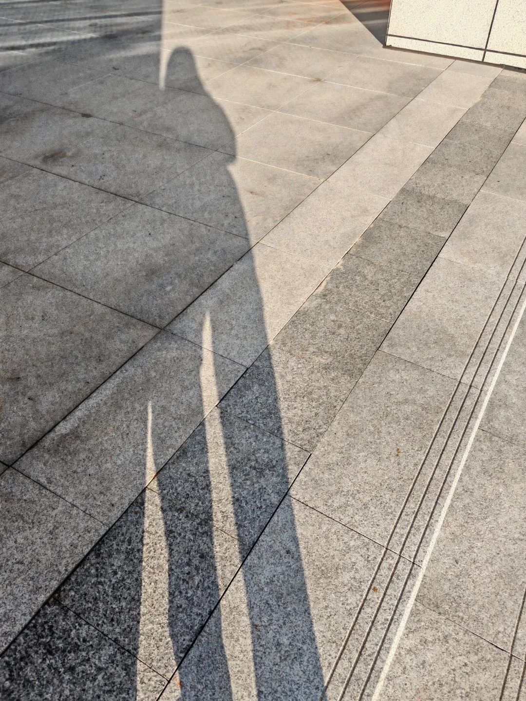 图书馆明明很亮，总给我一种阴冷的感觉?