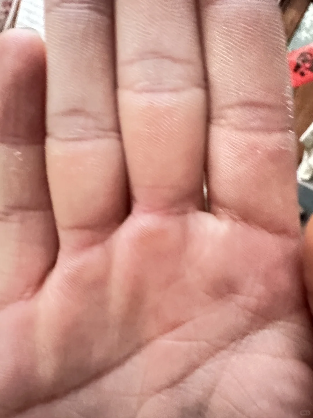 农村秋天的落叶真美呀?