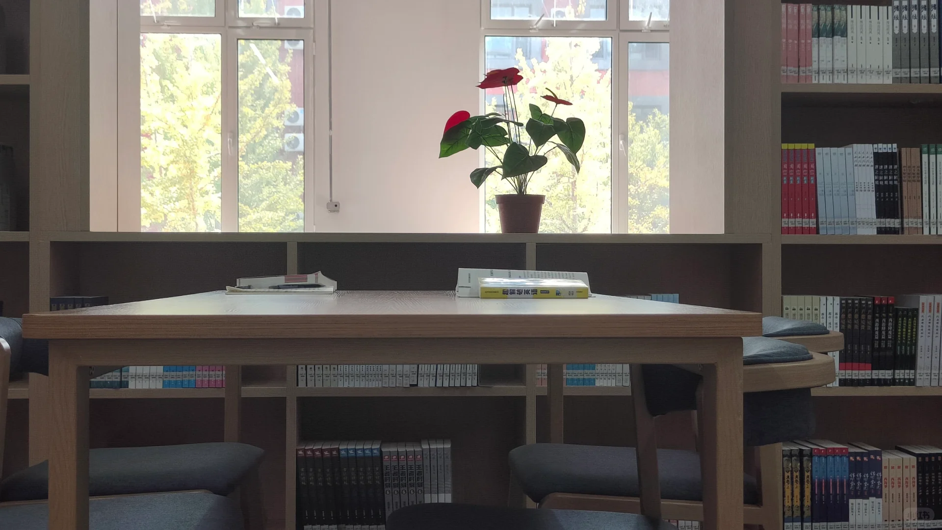 打卡河北东方学院图书馆