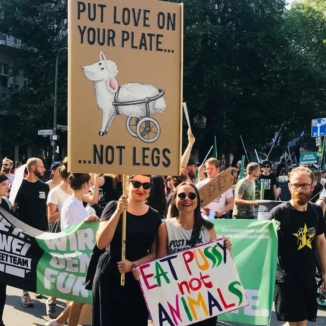 这位画家吃素30多年,她说人和动物息息相关