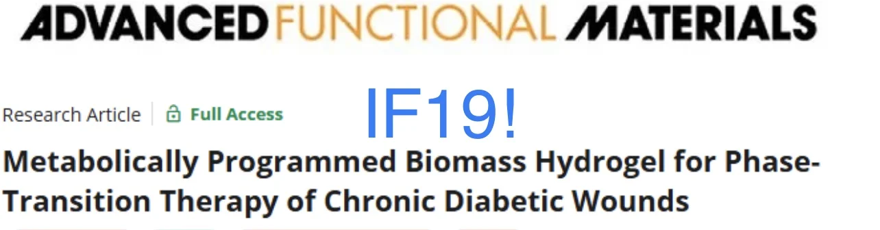 IF19! 智能水凝胶 创面