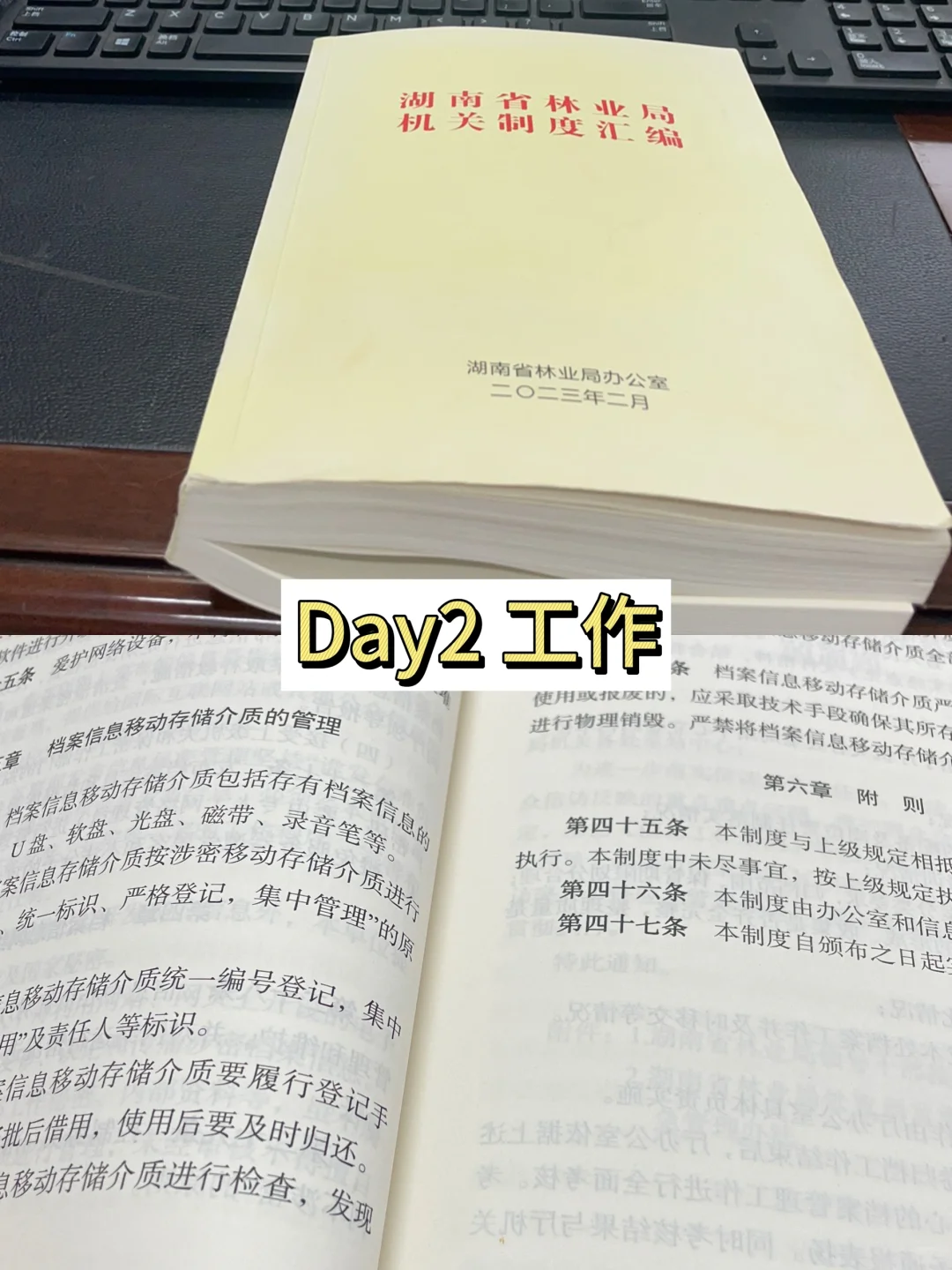 研一女勇闯林业局实习 都摸了哪些鱼