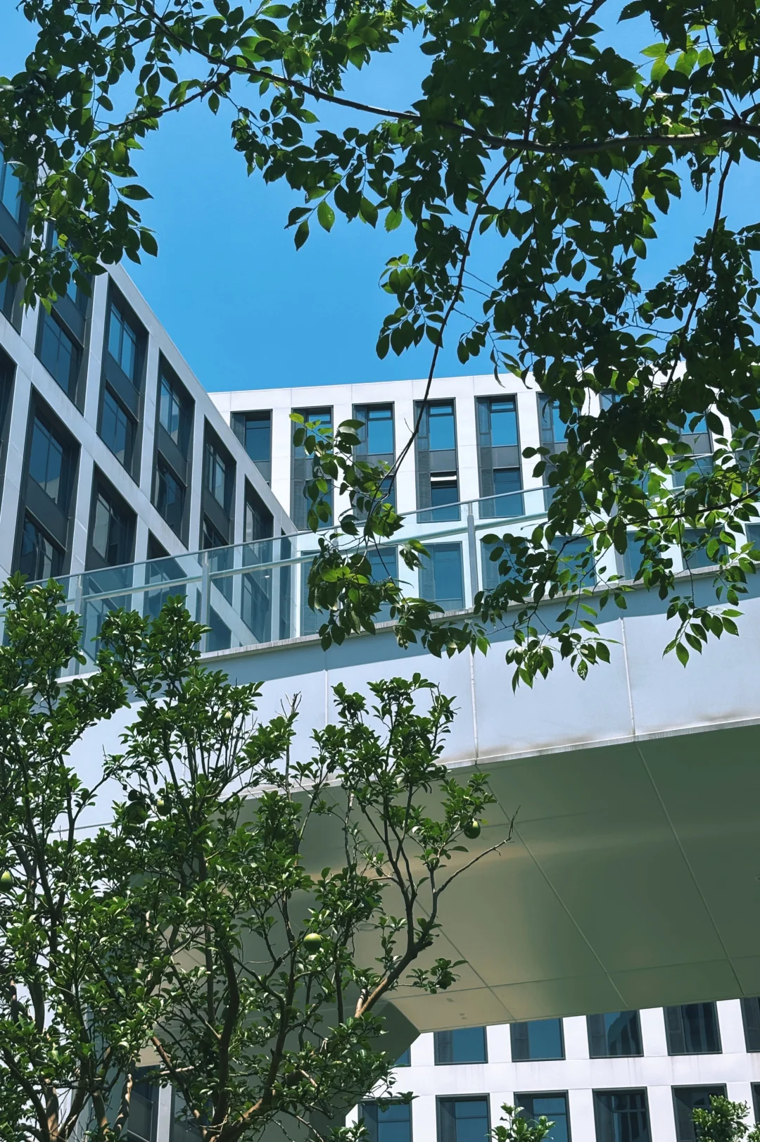 做服装10年，终于找到“招工不难”的秘诀…