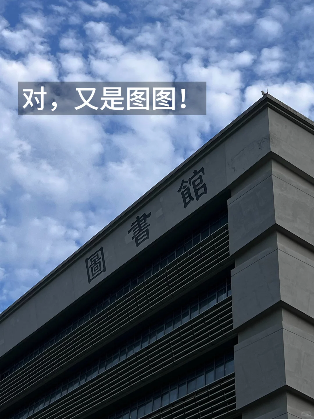 广财大四感觉自己度过了一个真正的大学?