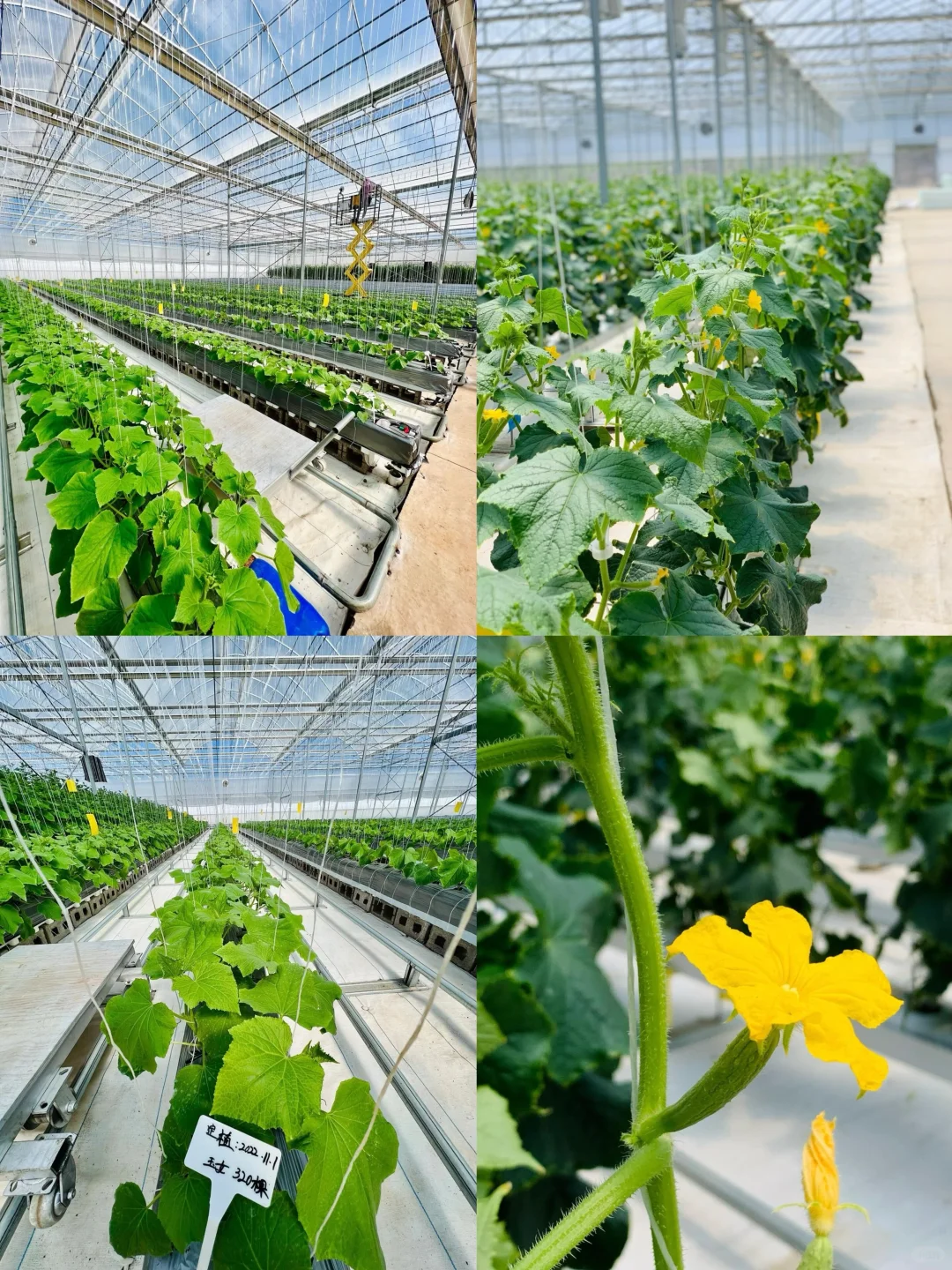 员工的育苗箱,比任何都让我骄傲