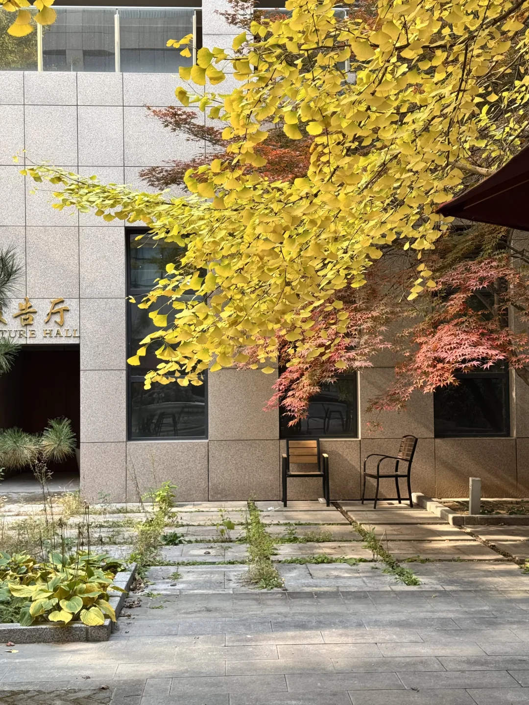 北理图书馆｜你有这样的美景留住我?