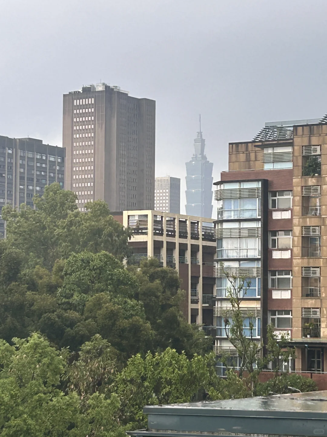 台湾交换|台大图书馆泡馆指南