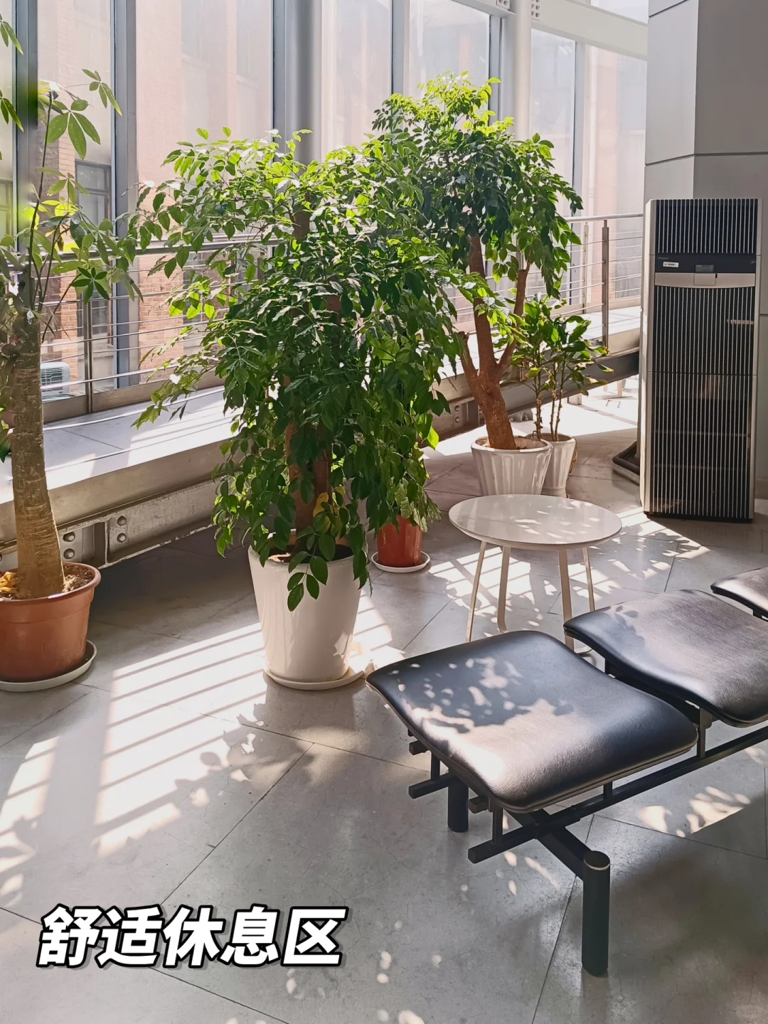 同济er的图书馆日常！带你走进四平图书馆