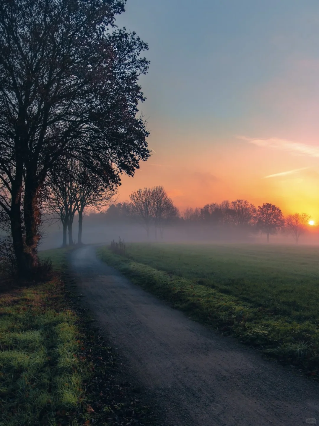 ☀️国际清洁能源日｜ZOO的100个自然日?
