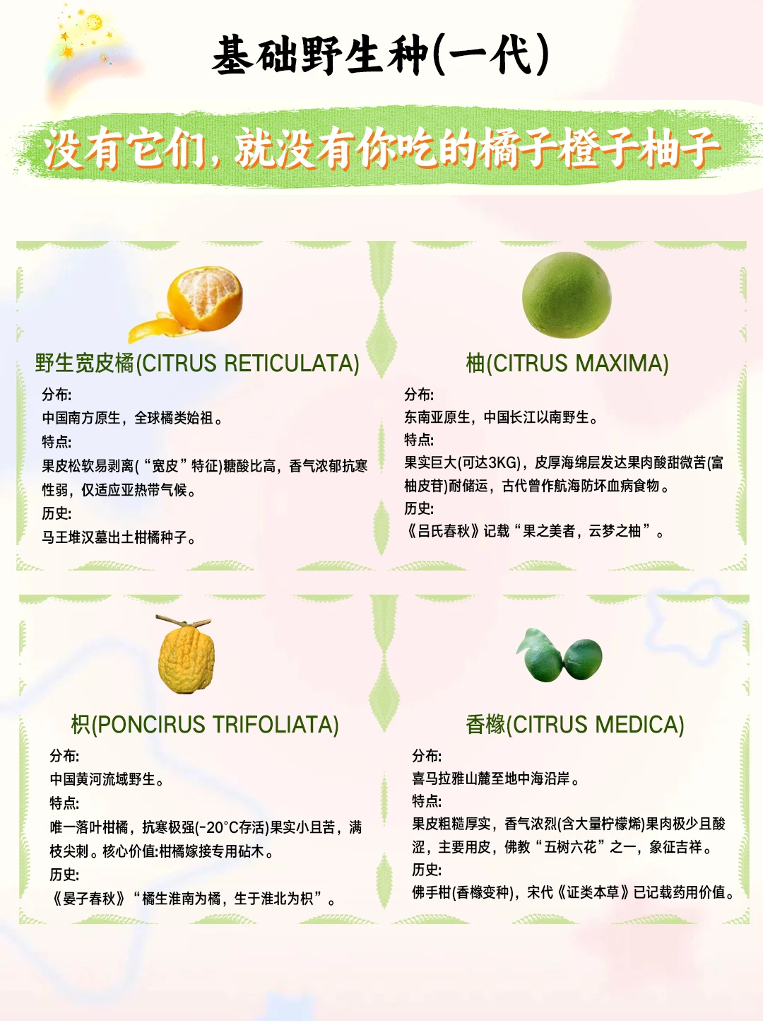 猜柑橘类型，猜柑橘关系