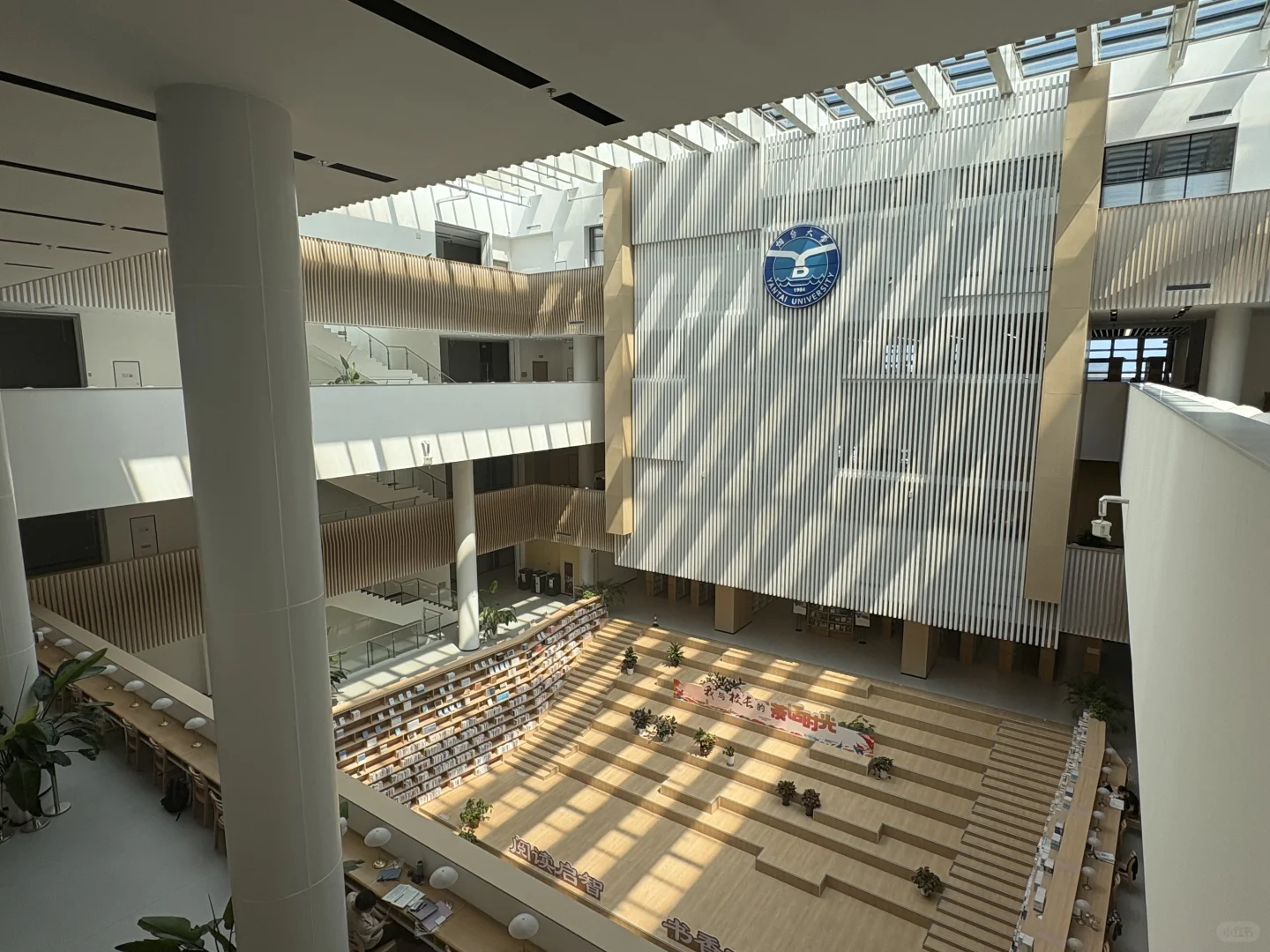 烟大图书馆好气派