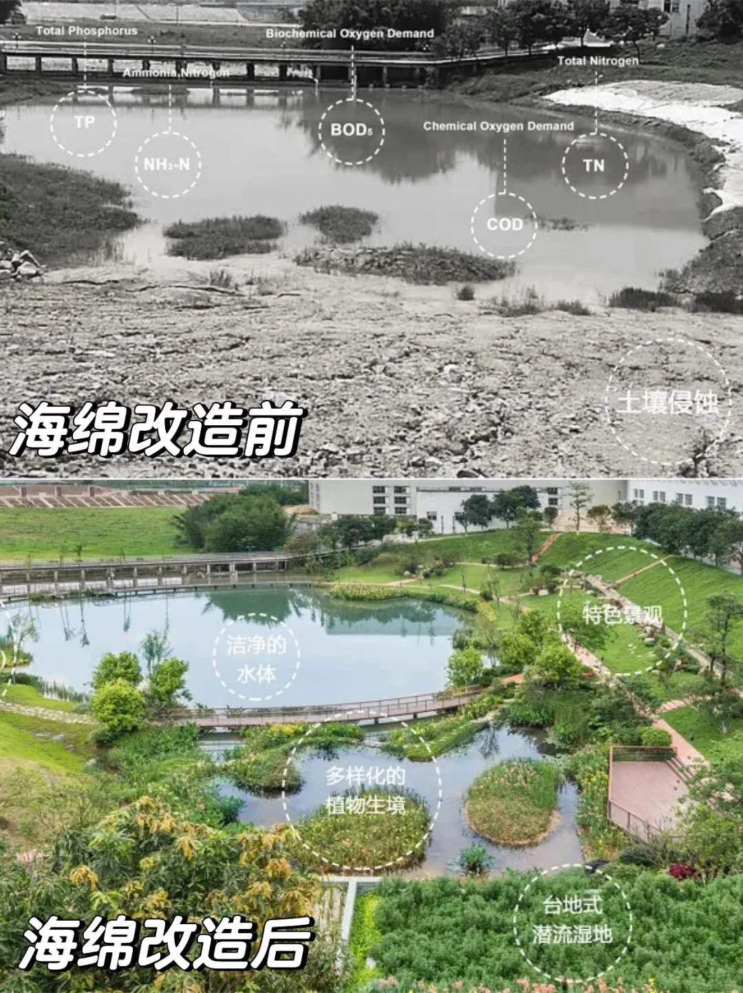 低本高效海绵方案：广东清远飞来峡海绵公园