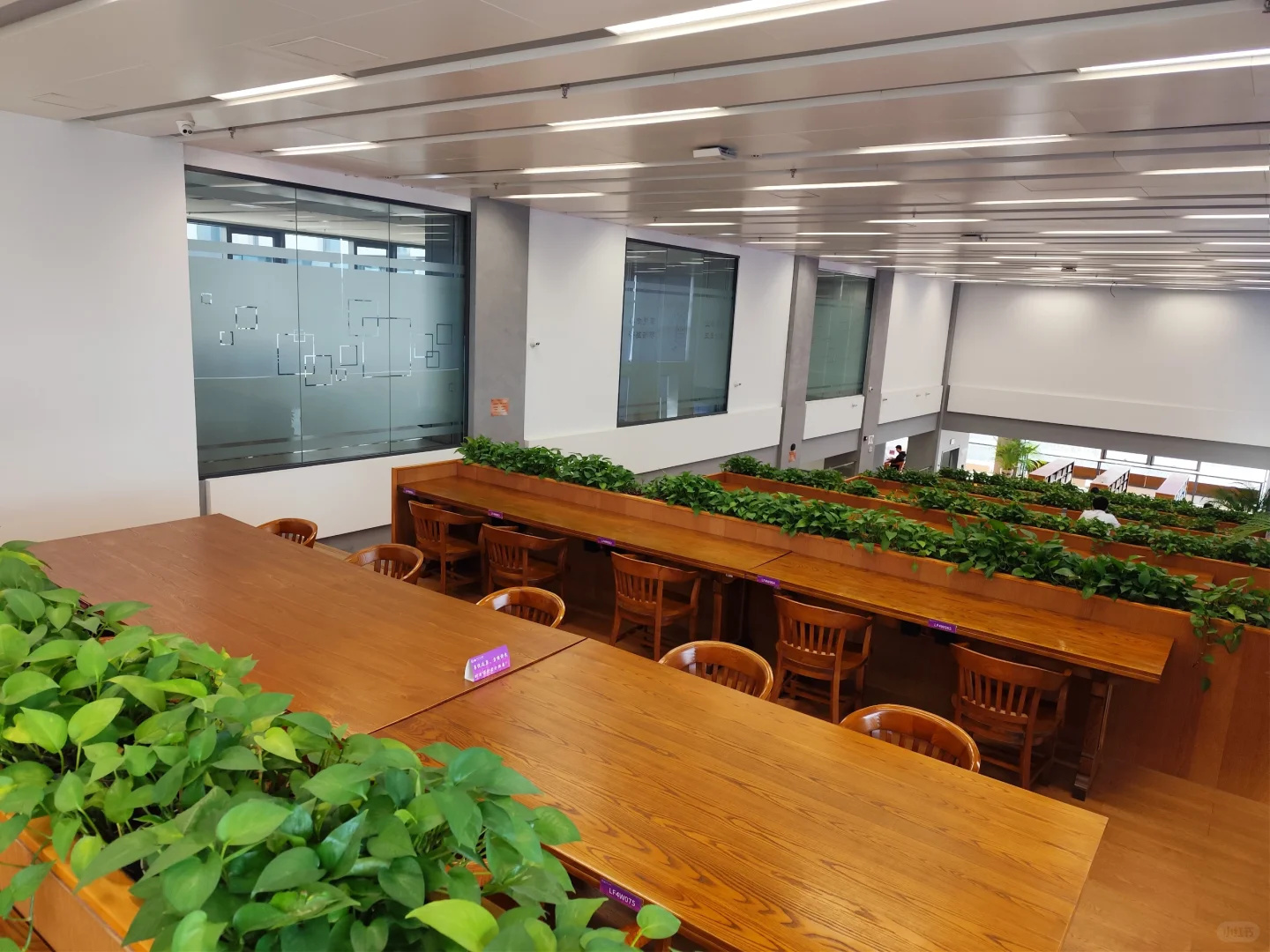 清华大学里最舒服的图书馆！