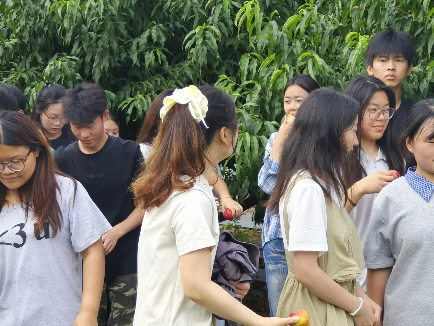 是果实成熟的季节了，自己种的就是最甜的