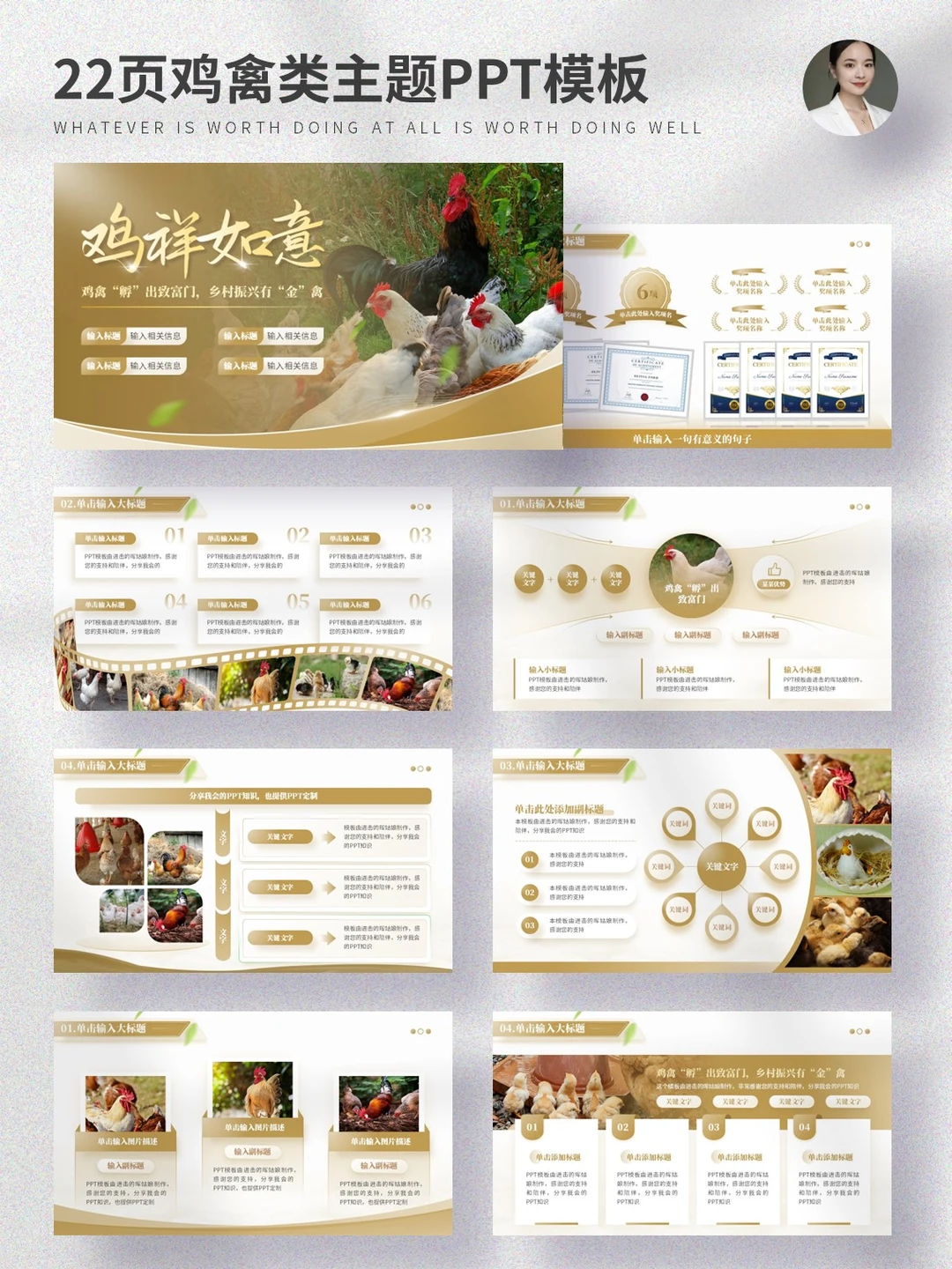 用简单的方法，做出高级感的鸡禽养殖PPT