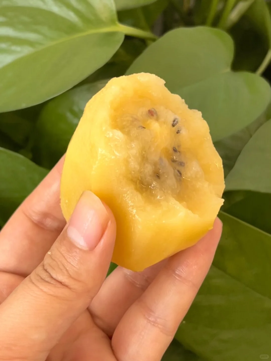 现在的年轻人对十块钱的购买力没概念…