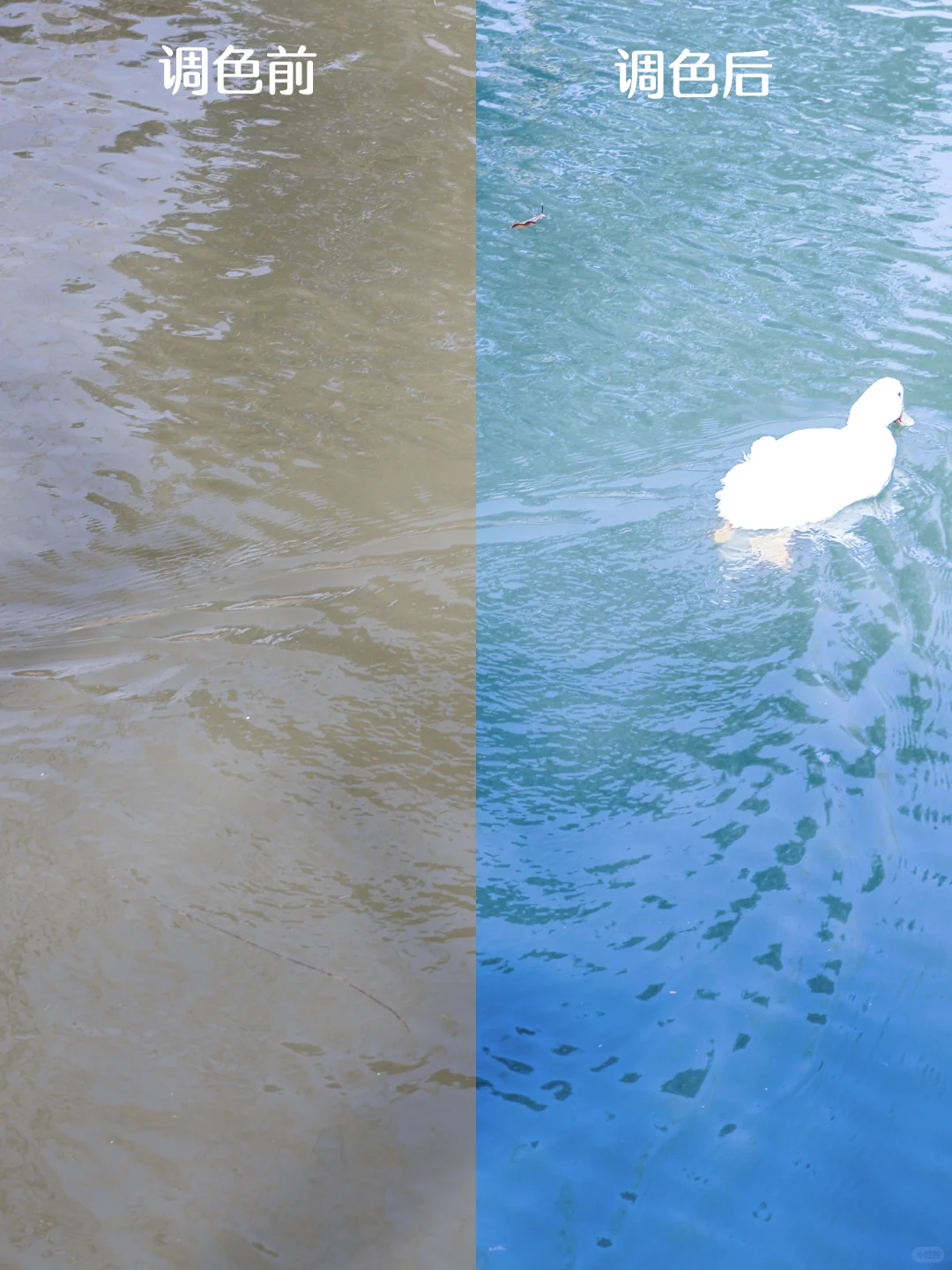 这算废片拯救成功吗