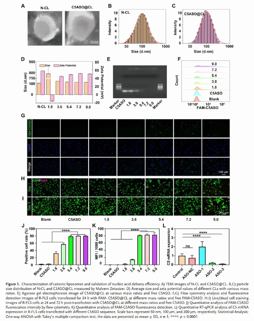 ?补体系统遇上“智能水弹”治疗RA