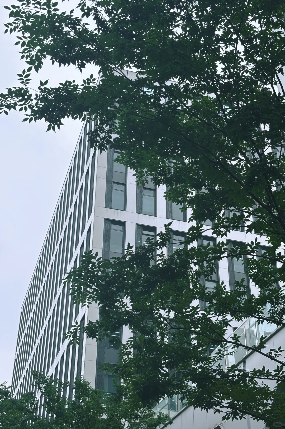 做服装10年，终于找到“招工不难”的秘诀…