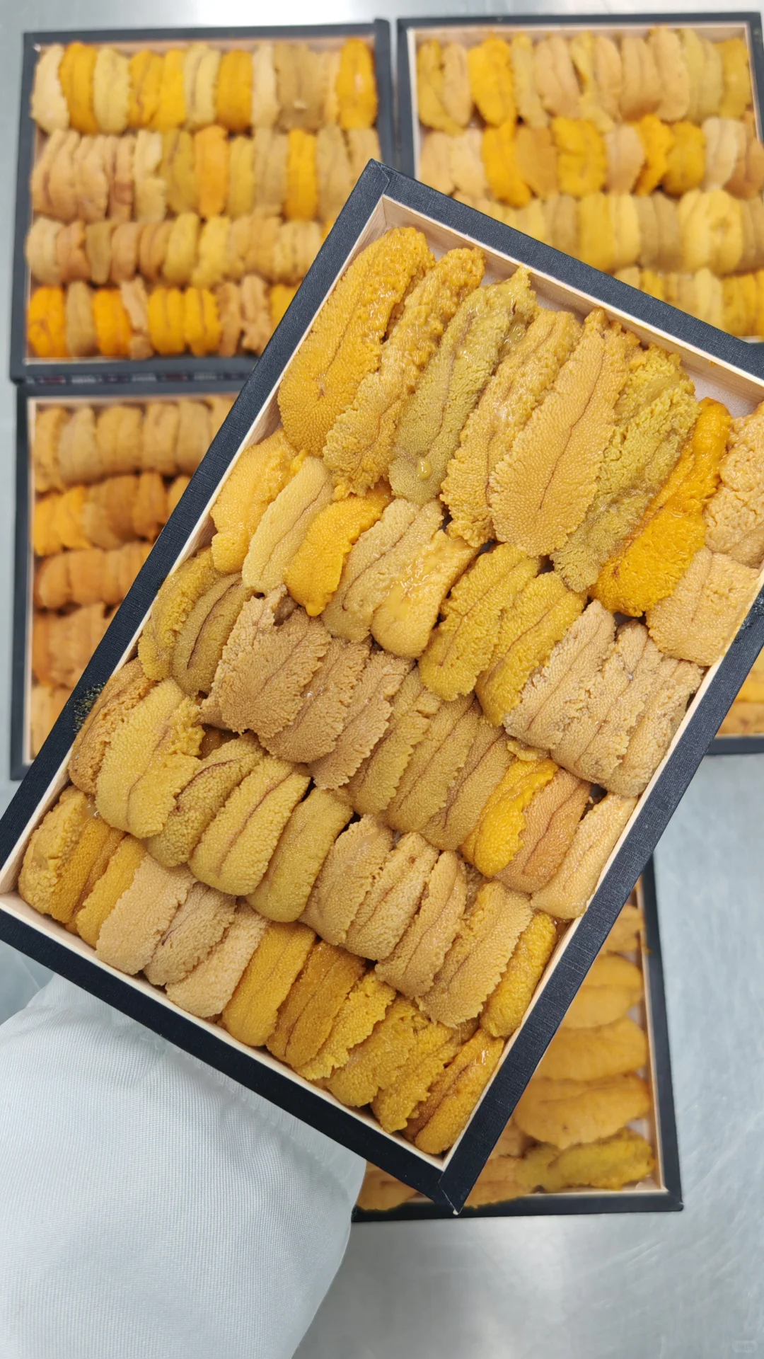 深圳）加拿大胆，唯一海胆厂，十万无尘车间