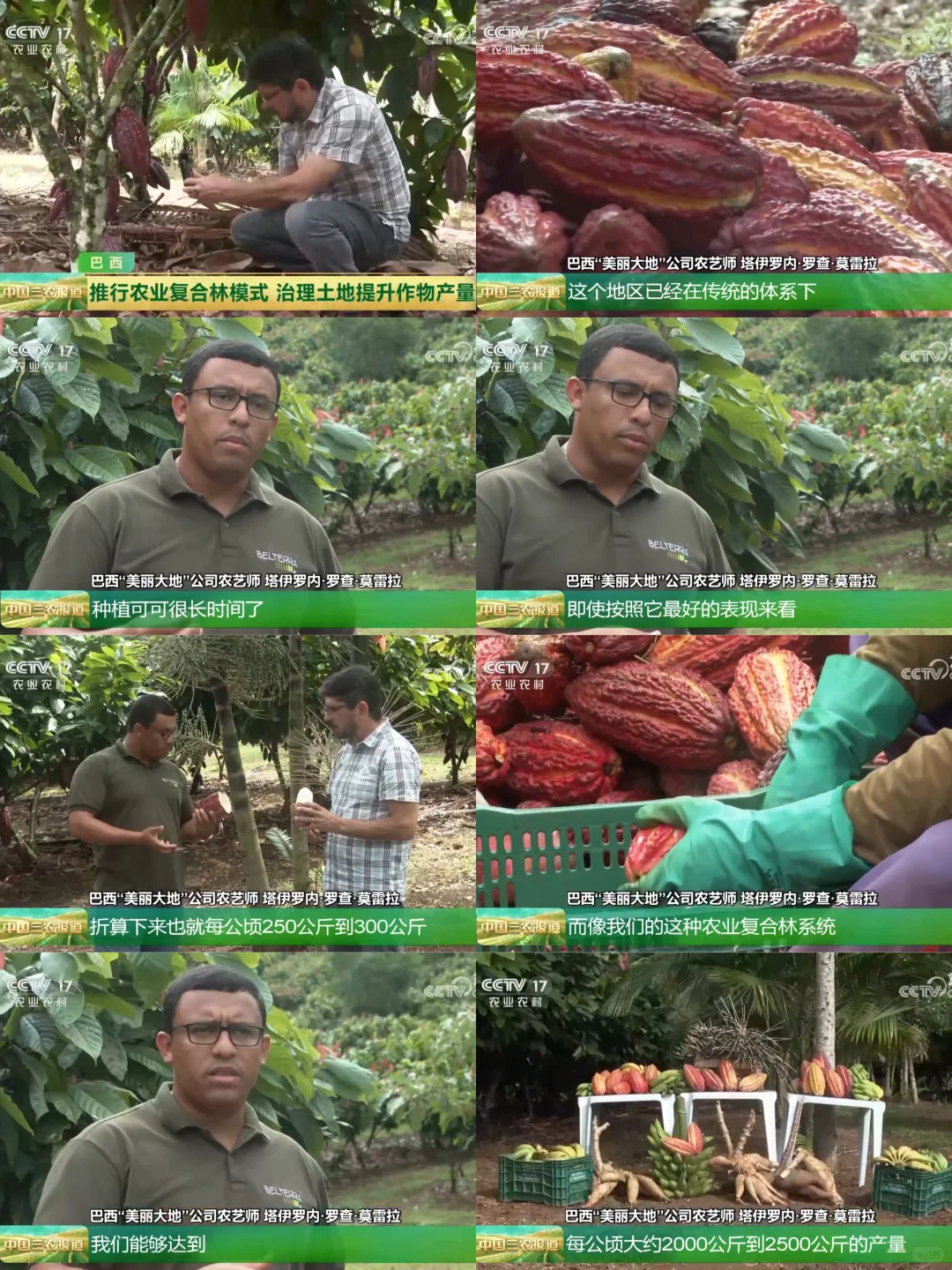 2025年11月28日农业新闻摘录。