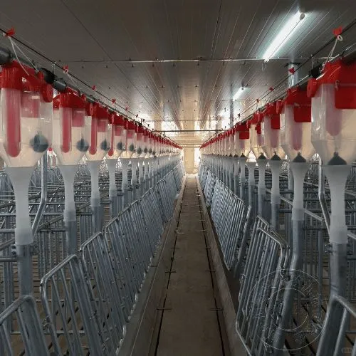 小型养殖场怎样实现小成本液态饲喂？