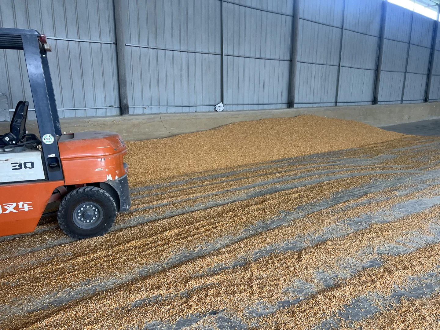 8月27日国内粮油市场行情信息（玉米价格下跌