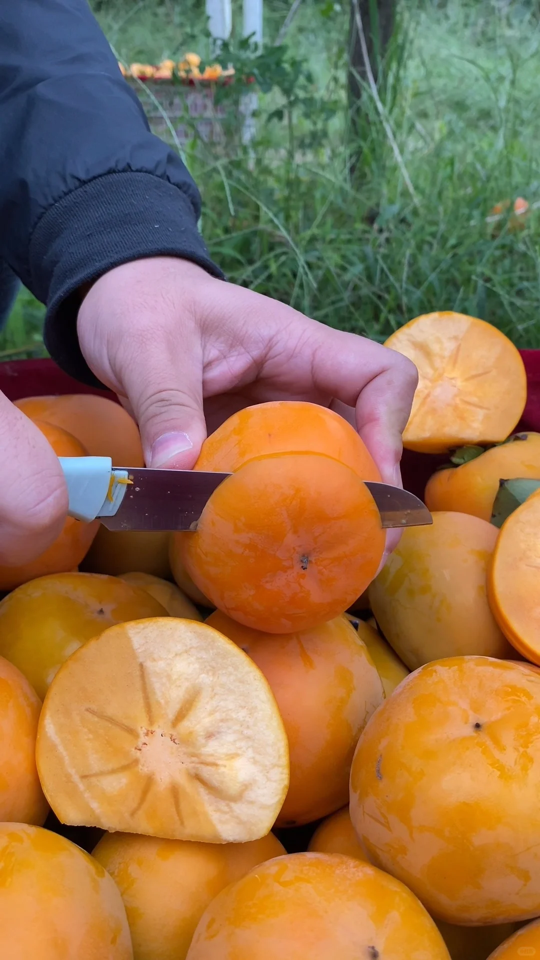 姐妹们地址给我，我给大家寄，不要油费……