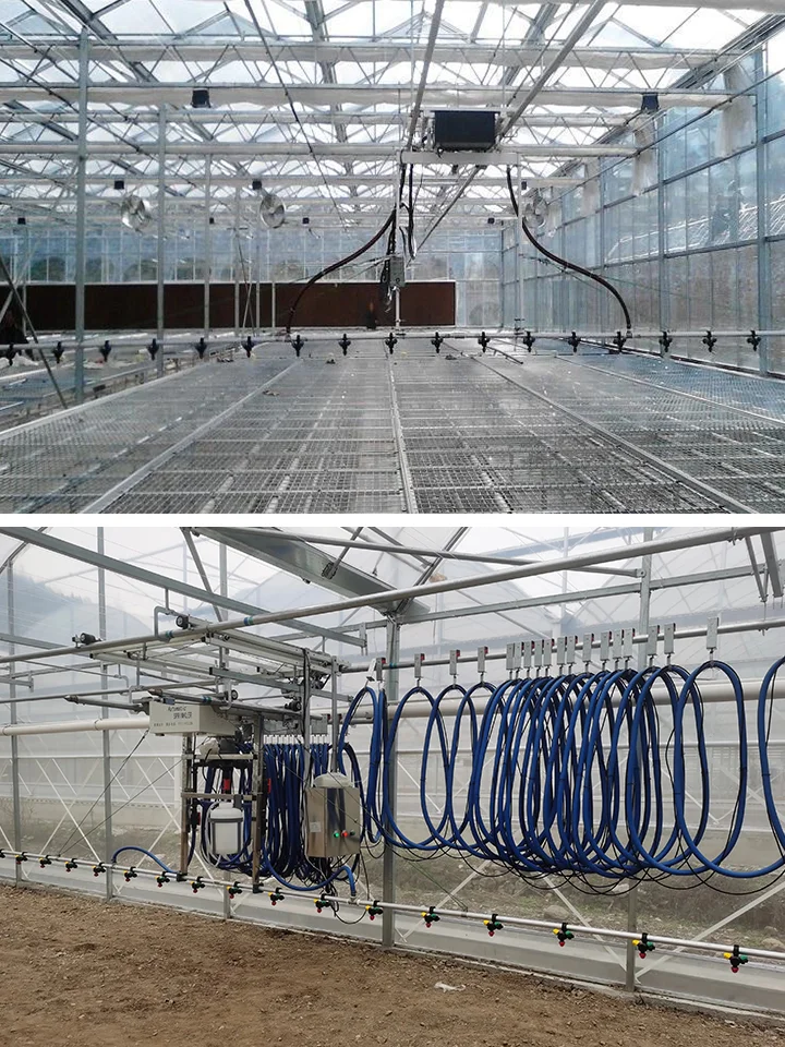 育苗温室喷灌机的选择与智能化优势