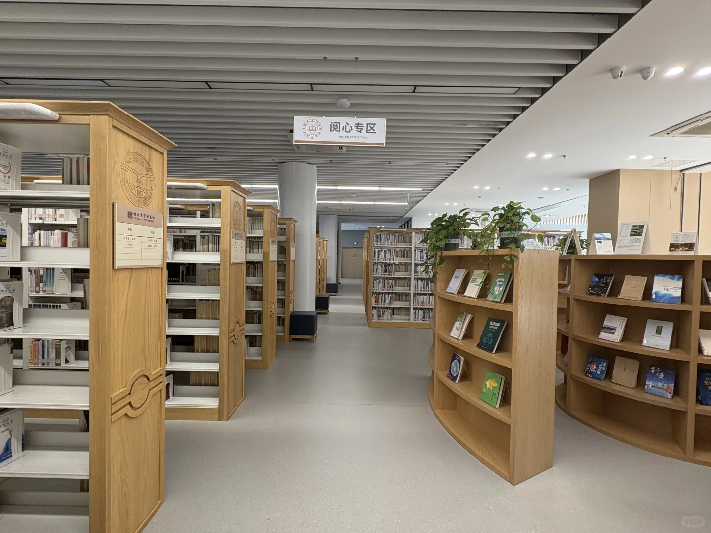 烟大图书馆好气派