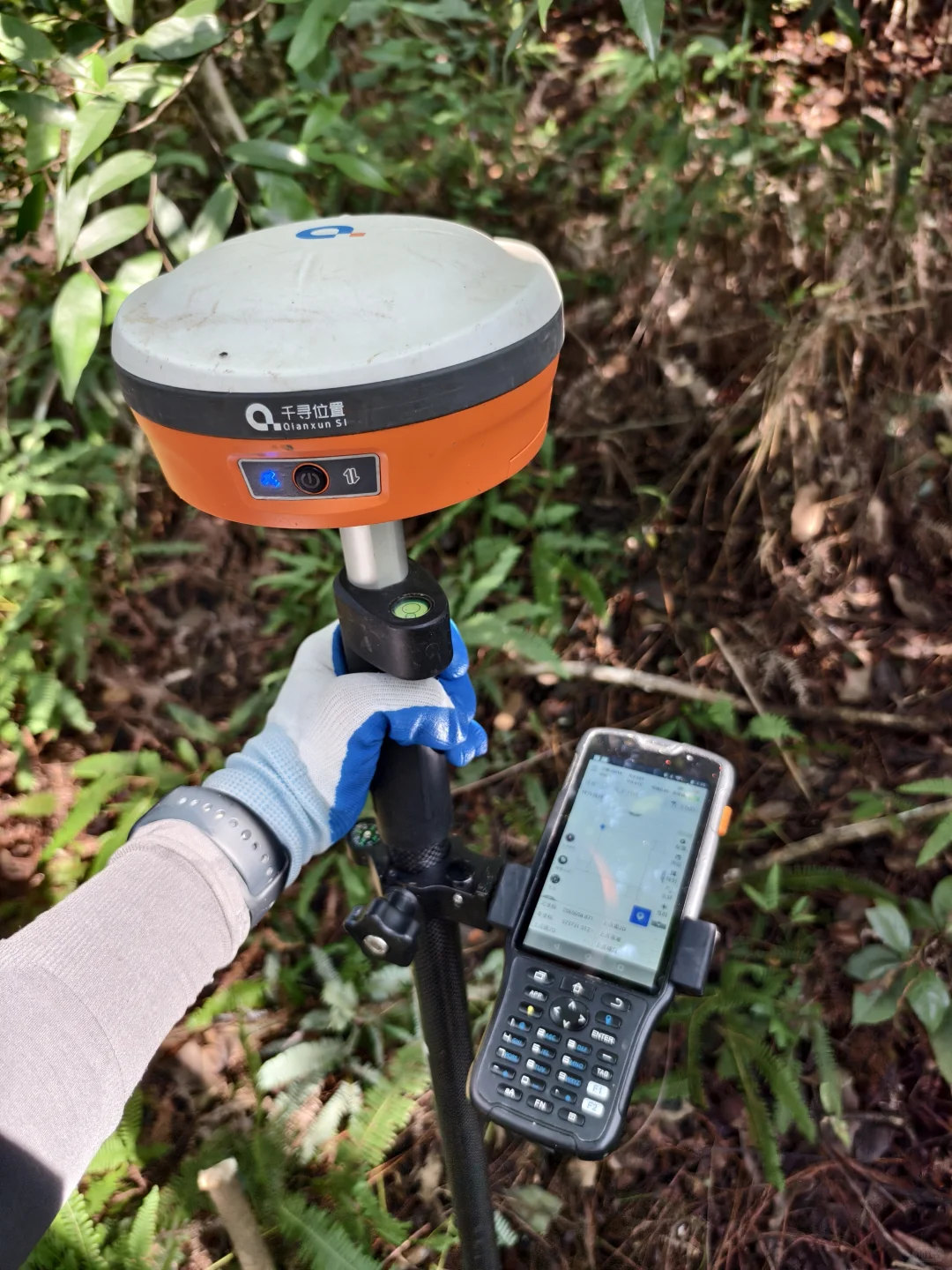 肇庆 丨世界巡护员日 林业技术员的日常