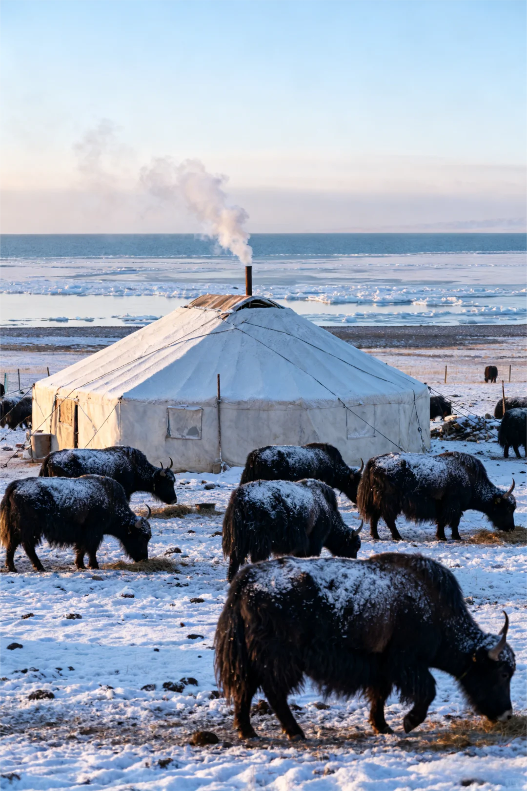 数字化牧业，只是一场华丽的营销吗？