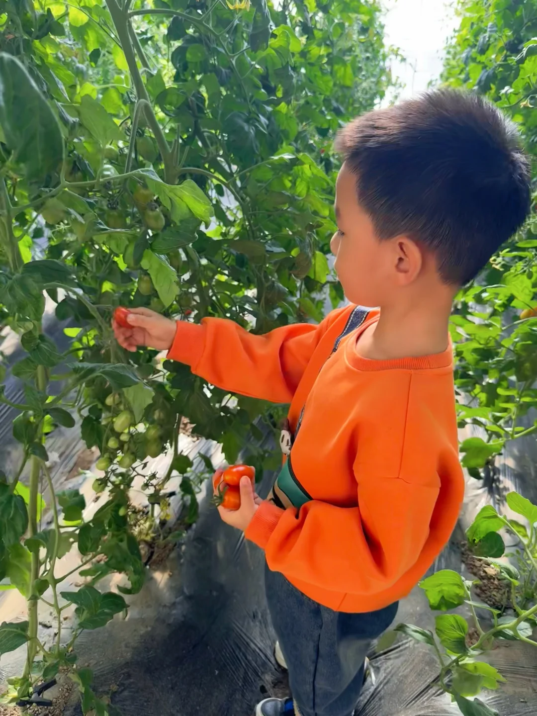 沈阳冬日遛娃天花板！承包一整天的田园快乐！