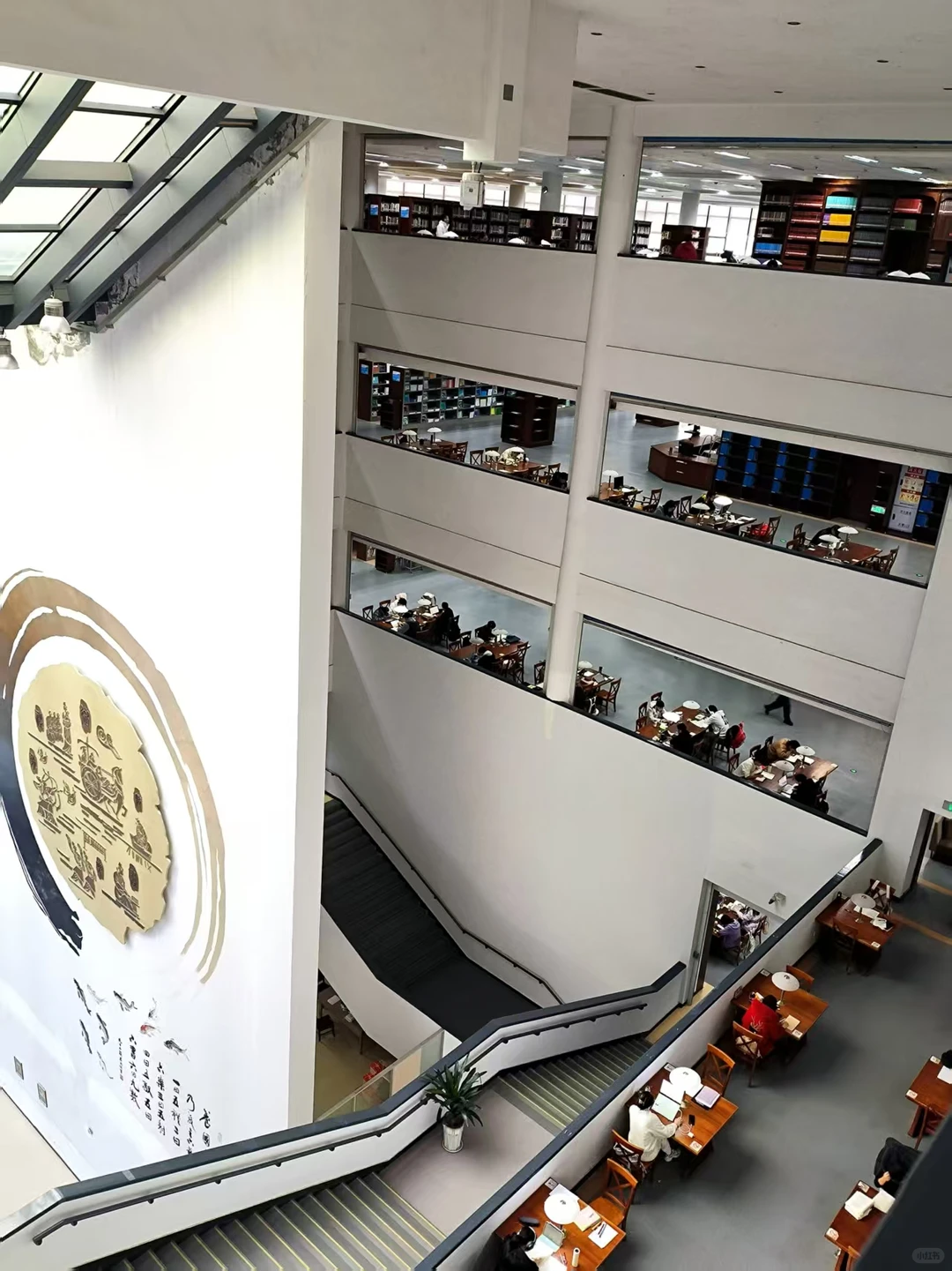 当你走进西大图书馆，你就会发现……