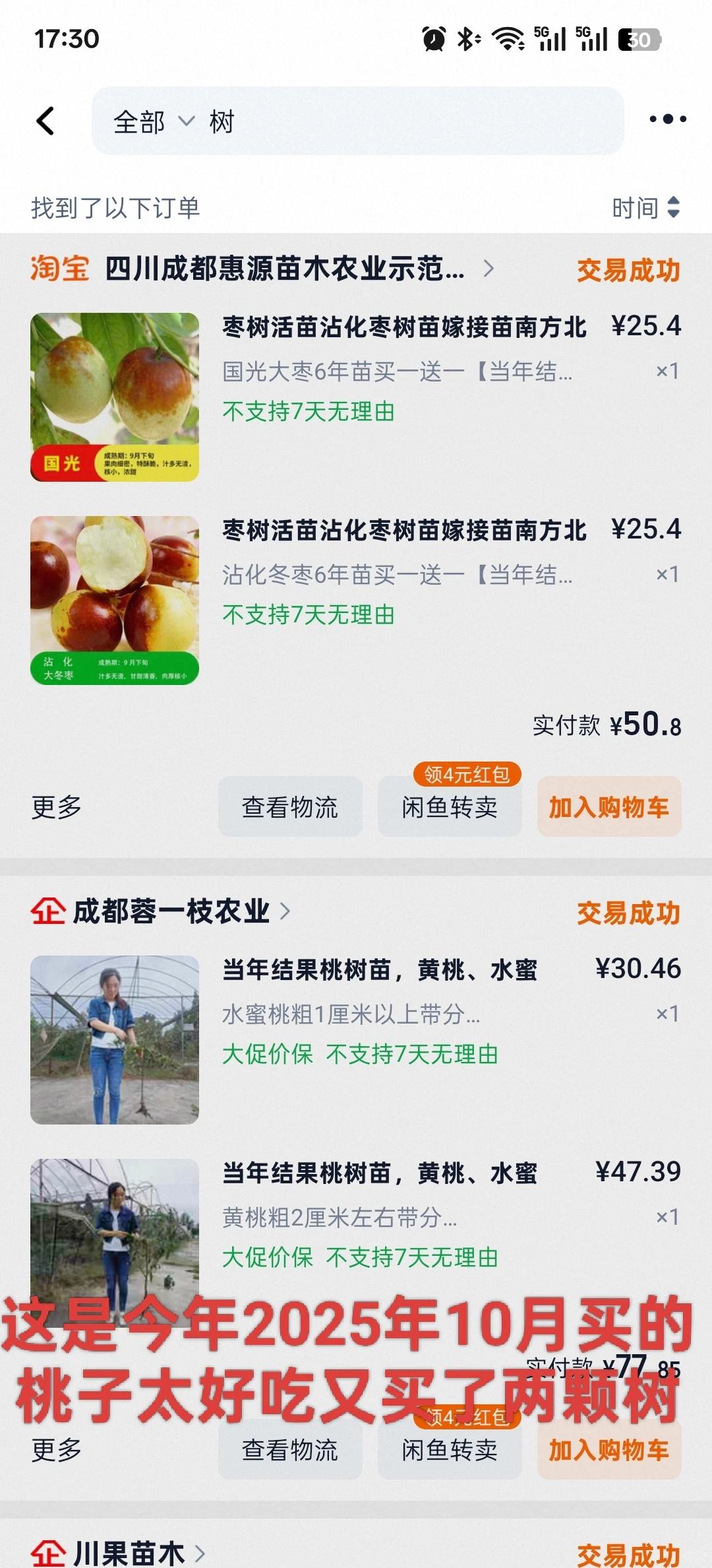 想看看你们种的挂满枝头的水果?