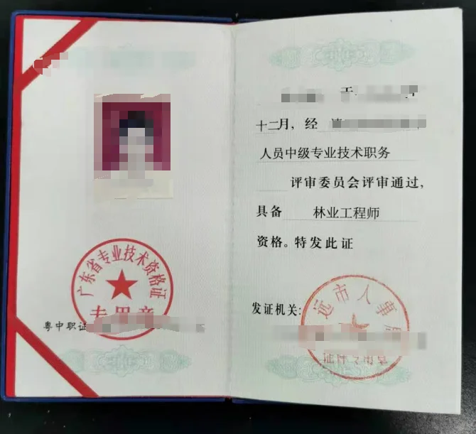 广东省林业工程师