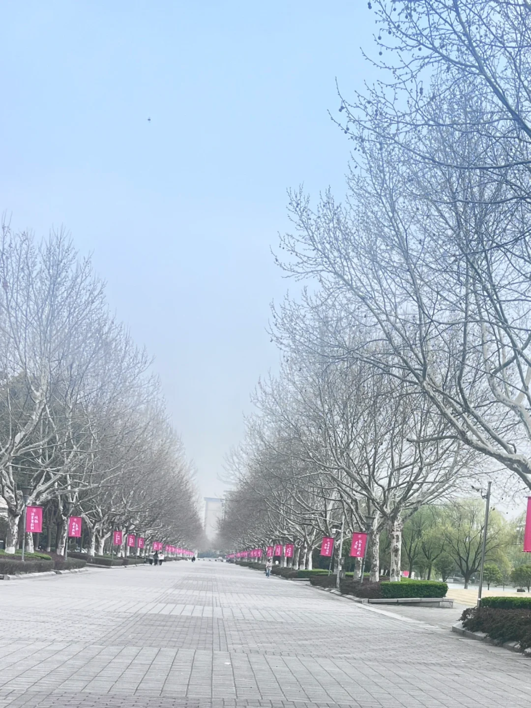 松江大学城｜我超爱的东华大学的图书馆～