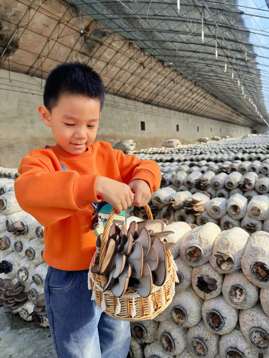 沈阳冬日遛娃天花板！承包一整天的田园快乐！