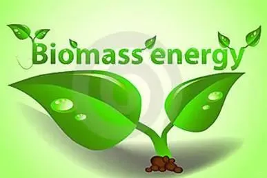 绿色能源的力量：理解可再生能源