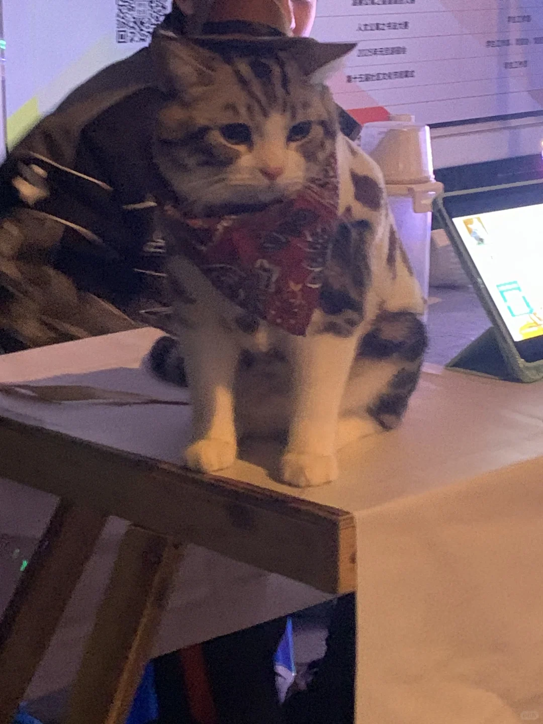 女大学生周末无聊的一天