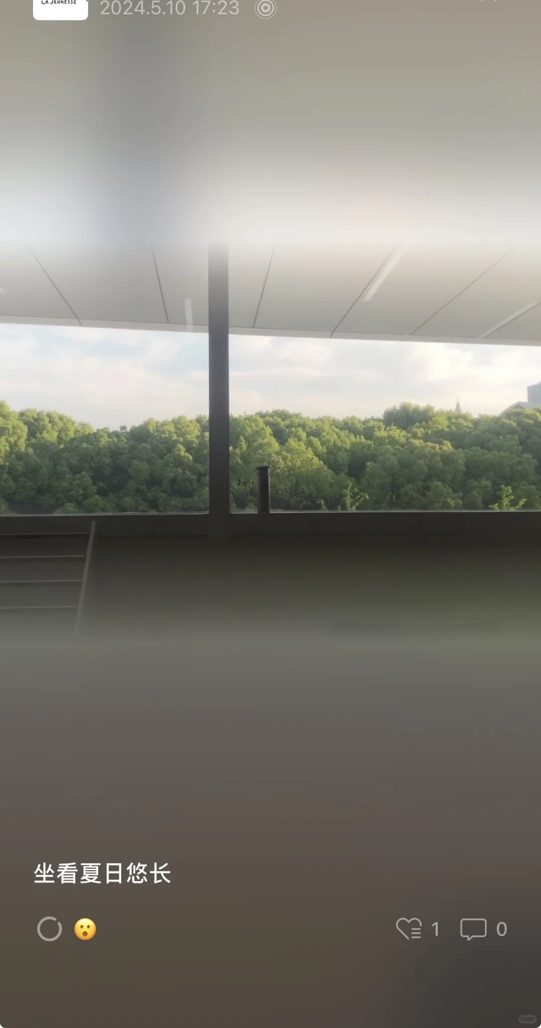 喜欢“阳光”的图书馆