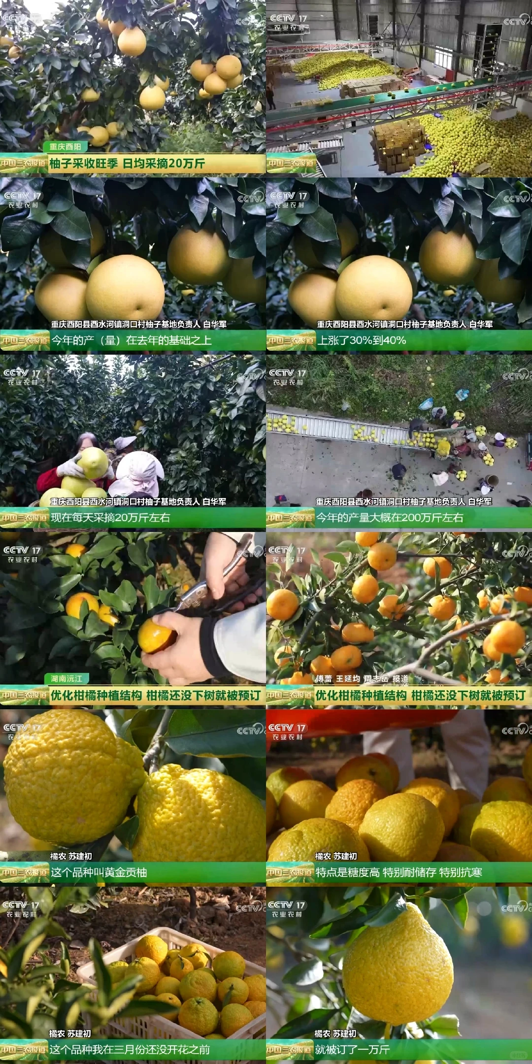 2025年11月28日农业新闻摘录。