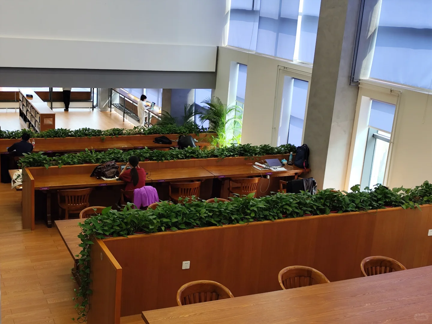 清华大学里最舒服的图书馆！