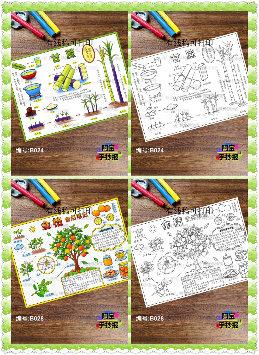 蔬菜水果类的自然笔记手抄报合集