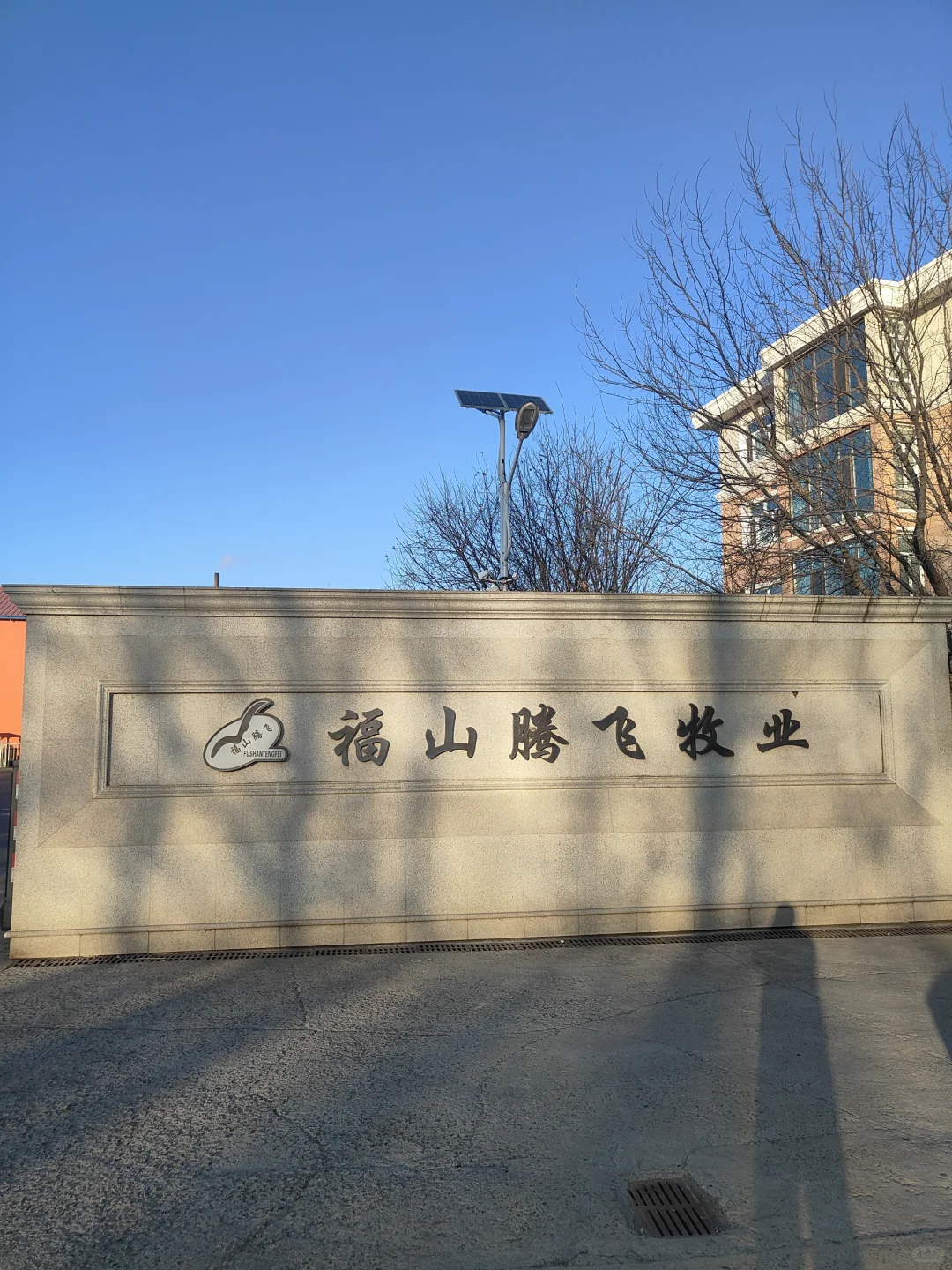 随行活动参观哈尔滨福山腾飞牧业工厂