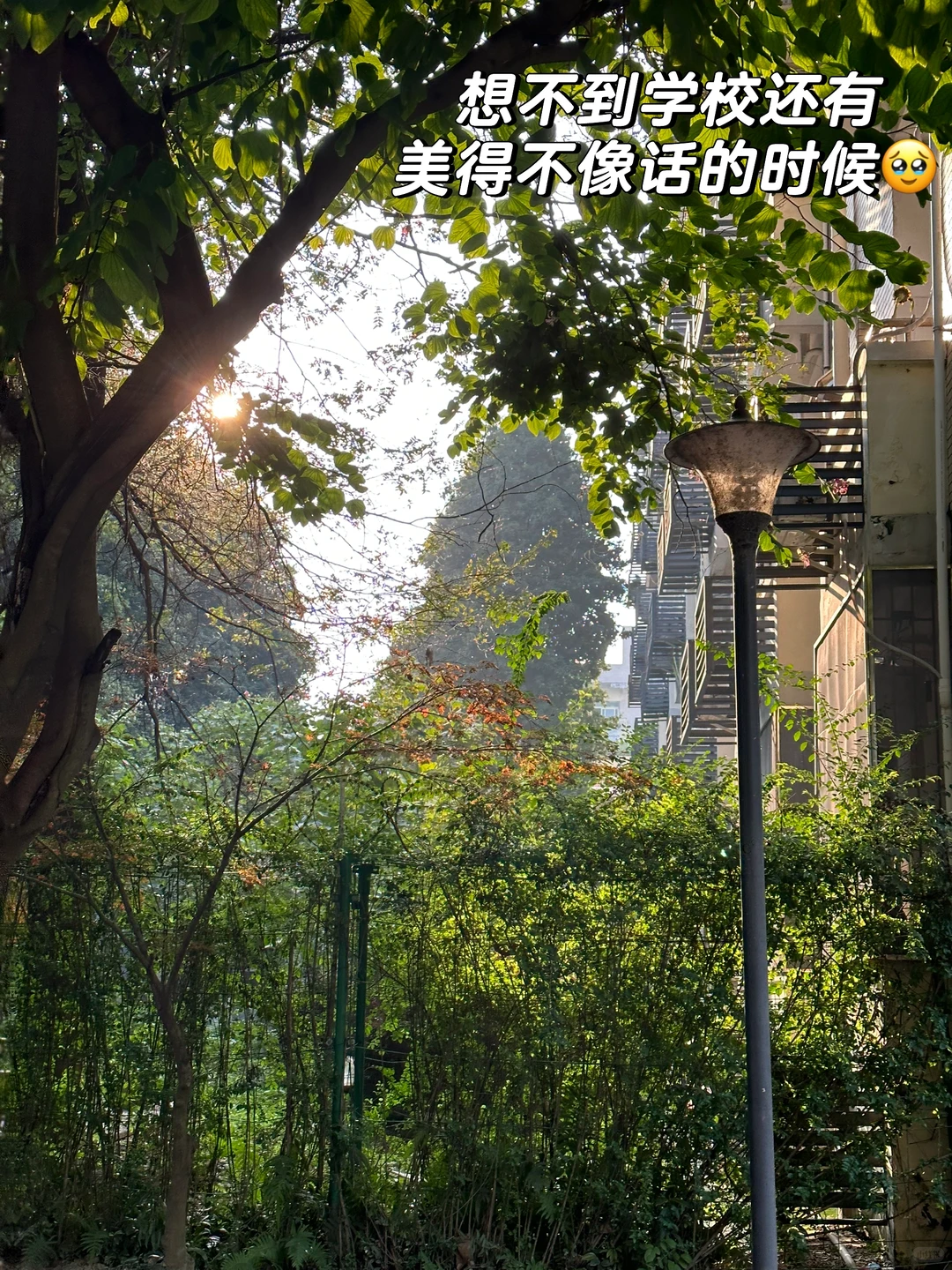 ?大学三年才懂 | 慢下来才是顶级自洽